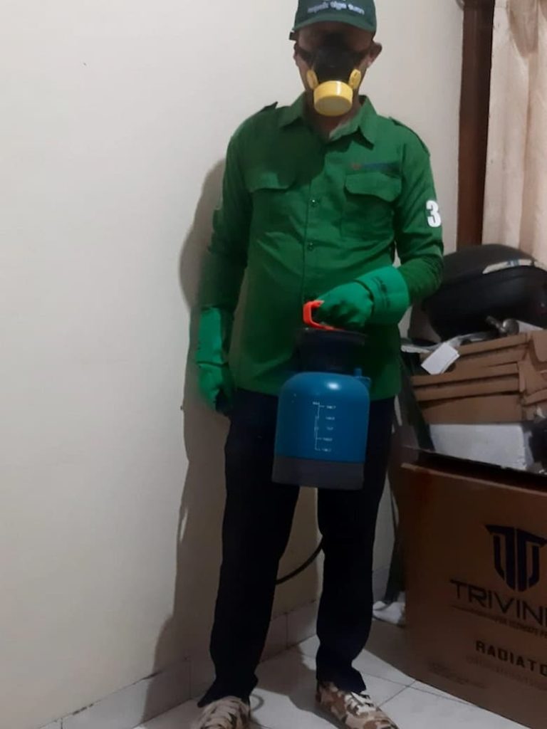 Pengendalian hama nyamuk